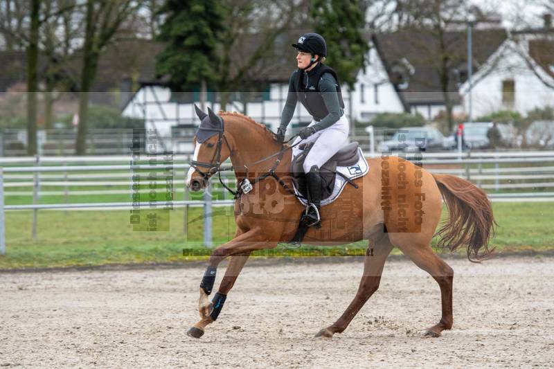 Preview 20240313-Prf02-GelP_Ax-R23-EF2_08016.jpg